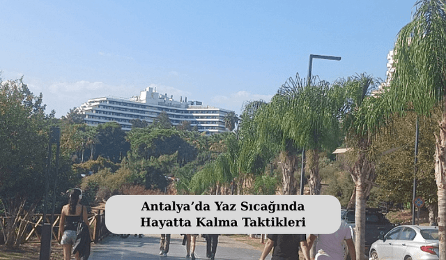 Antalya’da Yaz Sıcağında Hayatta Kalma Taktikleri
